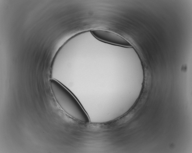 X0000113150956200910021459