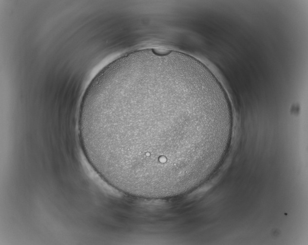 X0000113150957200910021459