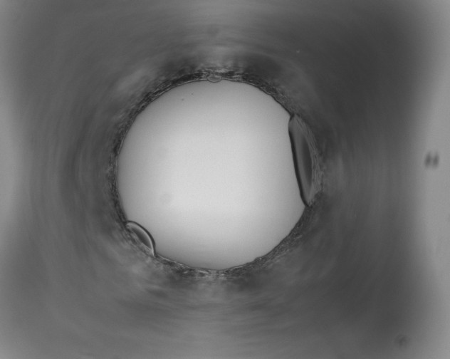 X0000113150961200910021459