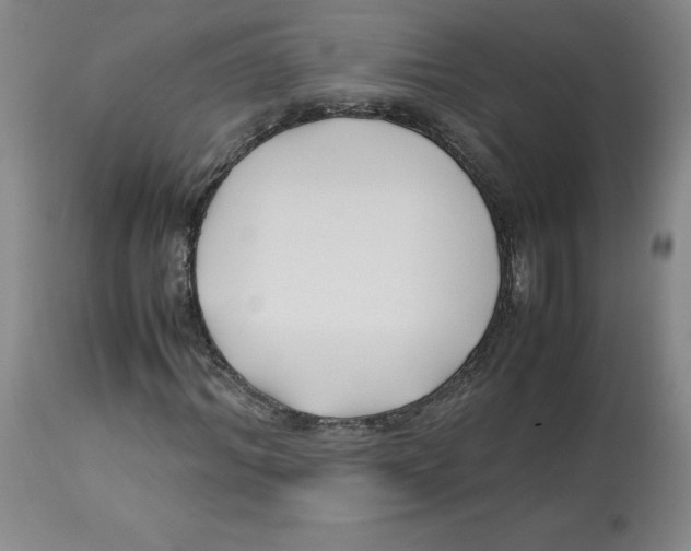 X0000113150964200910021459