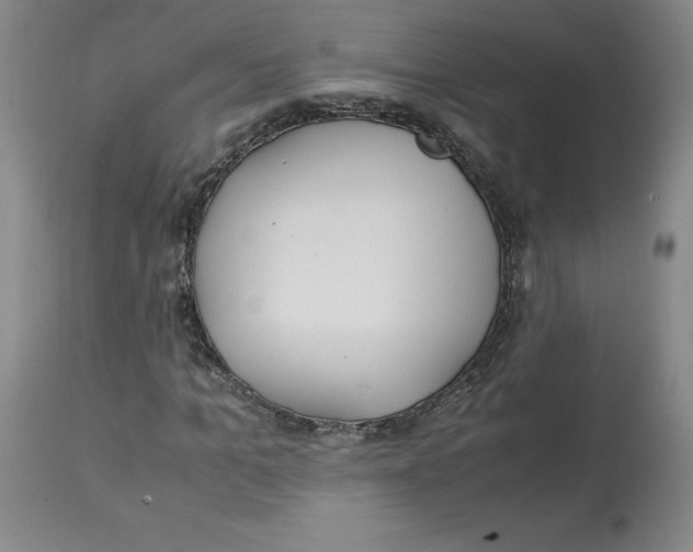 X0000113150965200910021459