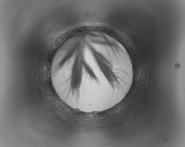 X0000113150966200910021459