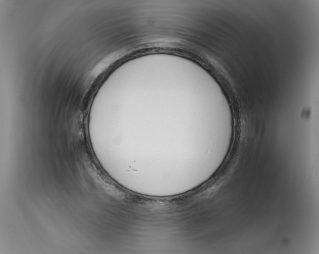 X0000113150970200910021458