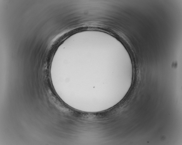 X0000113150971200910021458