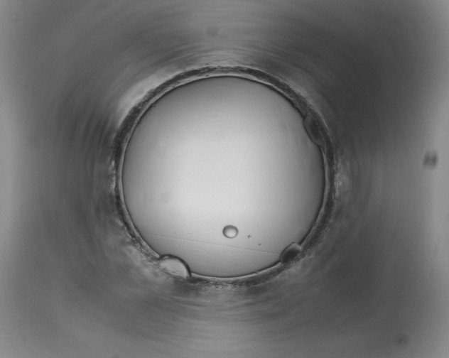 X0000113150973200910021458