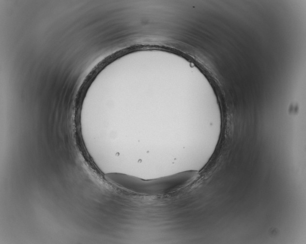 X0000113150976200910021458