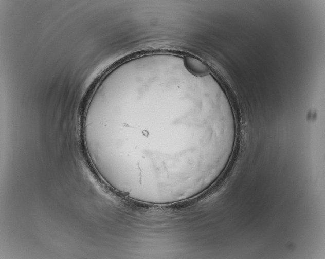 X0000113150981200910021458