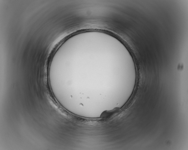 X0000113150982200910021458