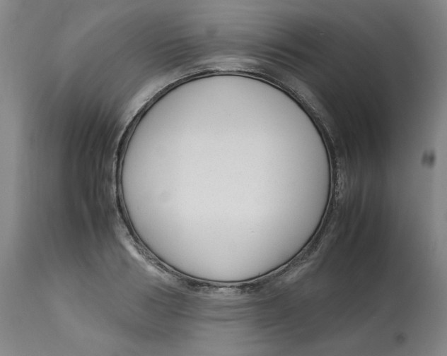 X0000113150986200910021458