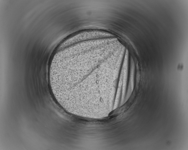 X0000113150988200910021458