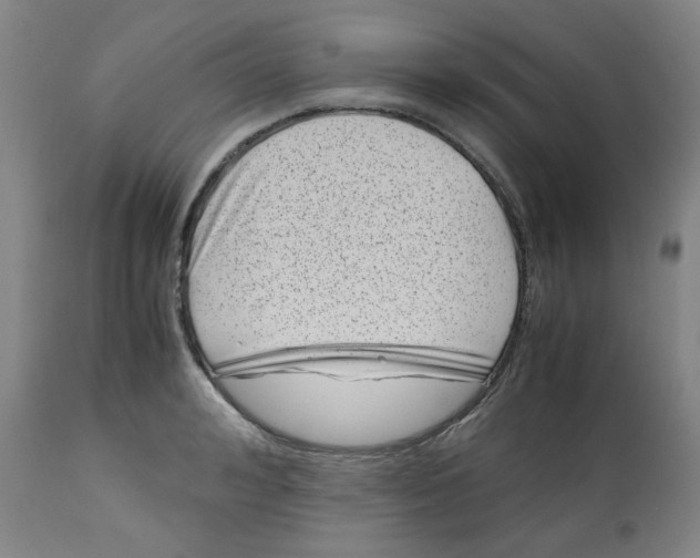 X0000113150992200910021458