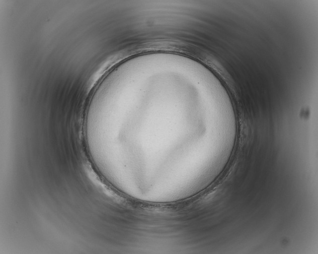 X0000113150994200910021458