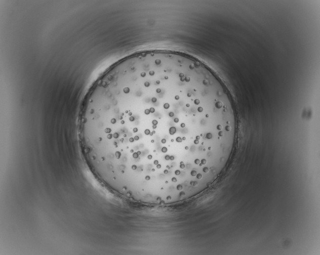 X0000113150998200910021458