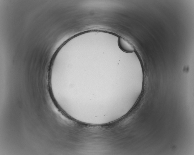 X0000113150999200910021458