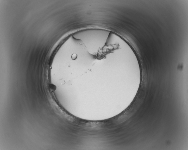 X0000113151000200910021458