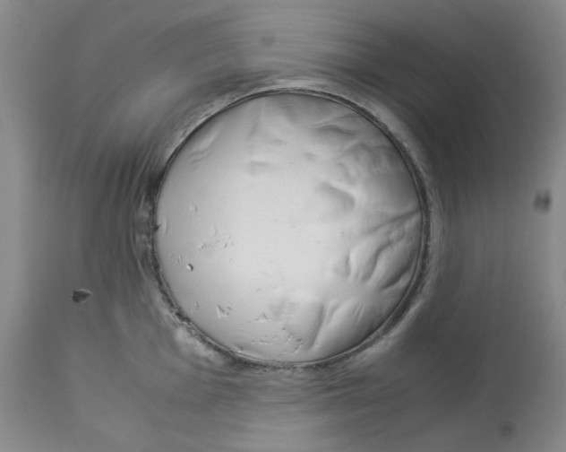 X0000113151001200910021458