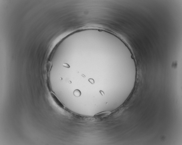 X0000113151003200910021458