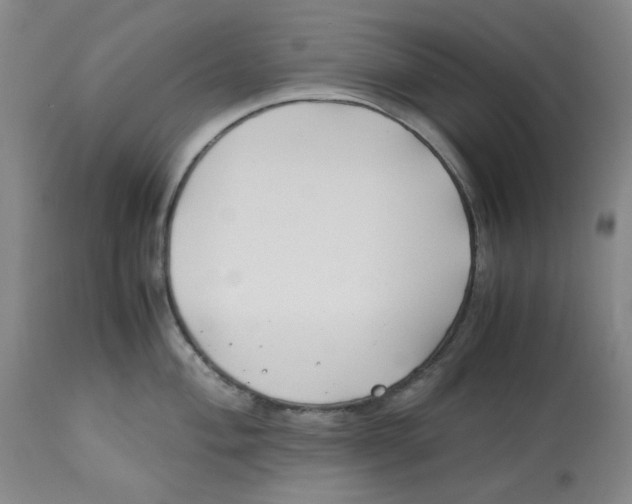 X0000113151004200910021458