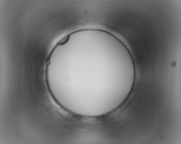 X0000113151006200910021458