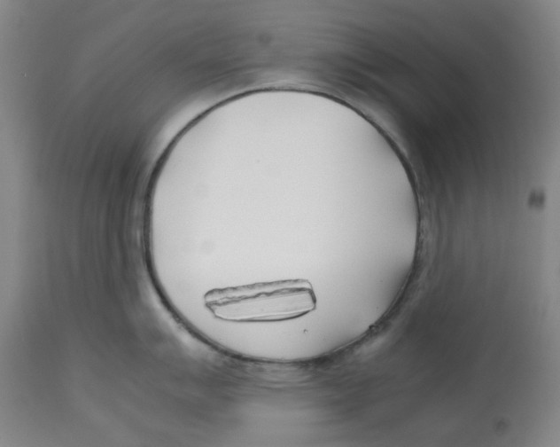 X0000113151007200910021458