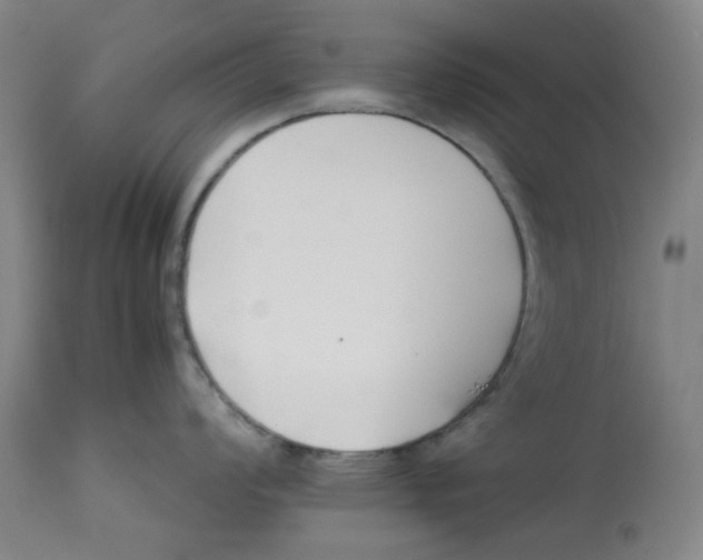 X0000113151008200910021458