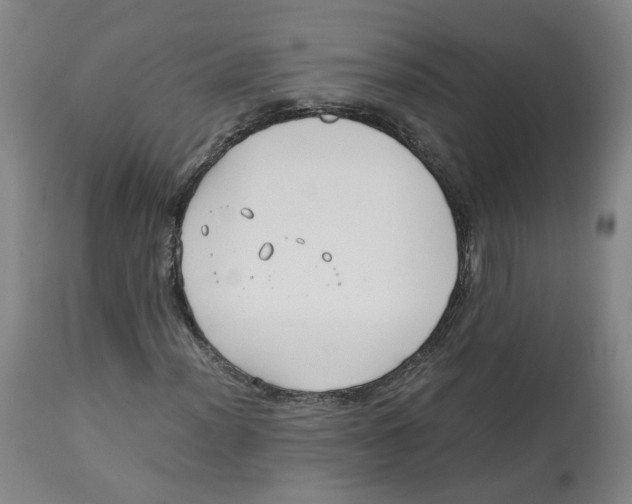 X0000113151012200910021457