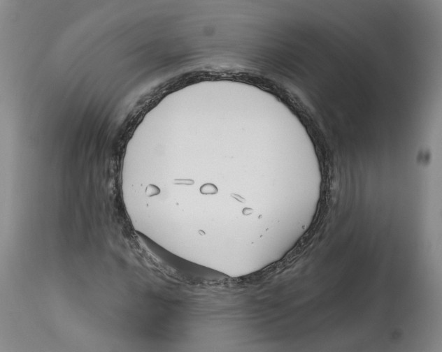 X0000113151016200910021457