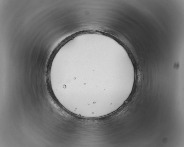 X0000113151020200910021457