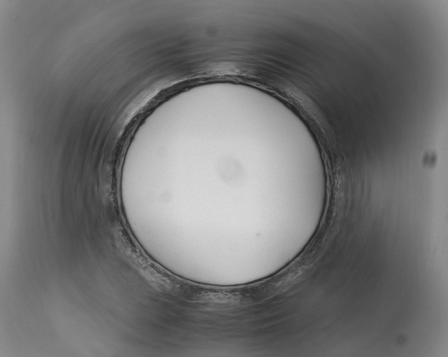 X0000113151023200910021457