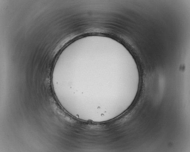 X0000113151025200910021457