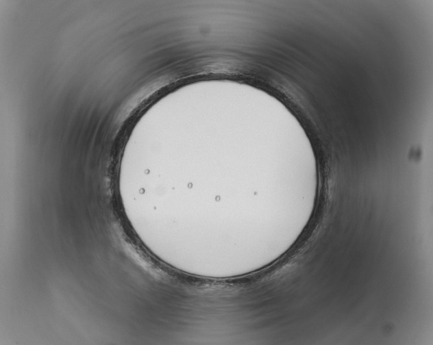 X0000113151026200910021458