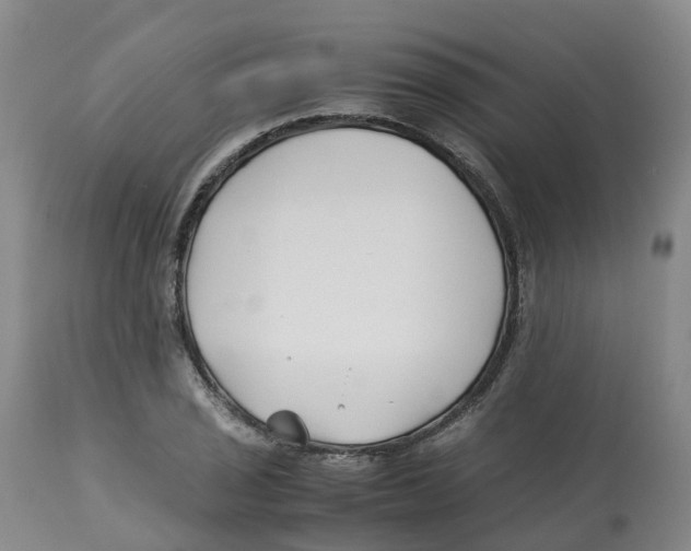 X0000113151029200910021458