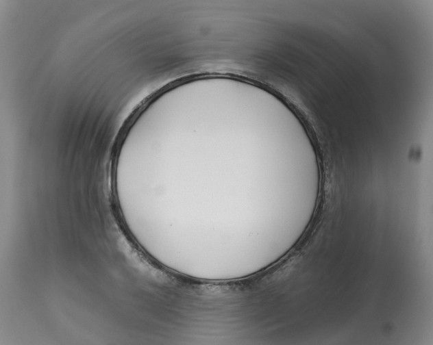 X0000113151032200910021458