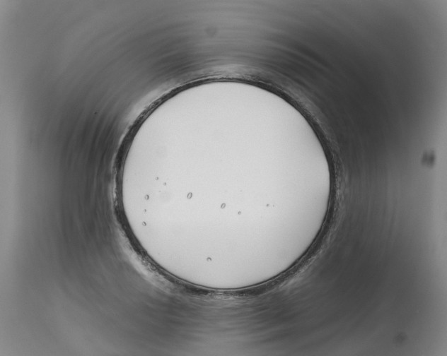 X0000113151034200910021458