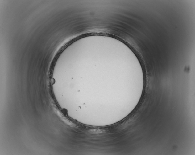 X0000113151037200910021458