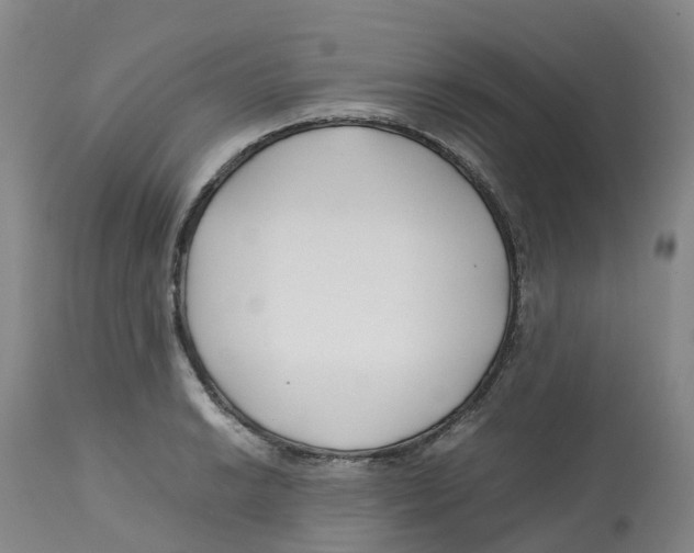 X0000113151038200910021458