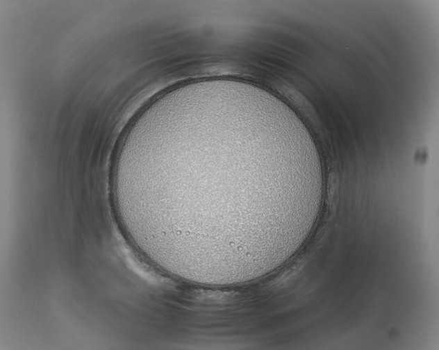 X0000113151039200910021458