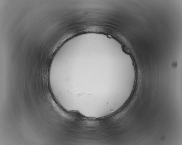 X0000113151041200910021458