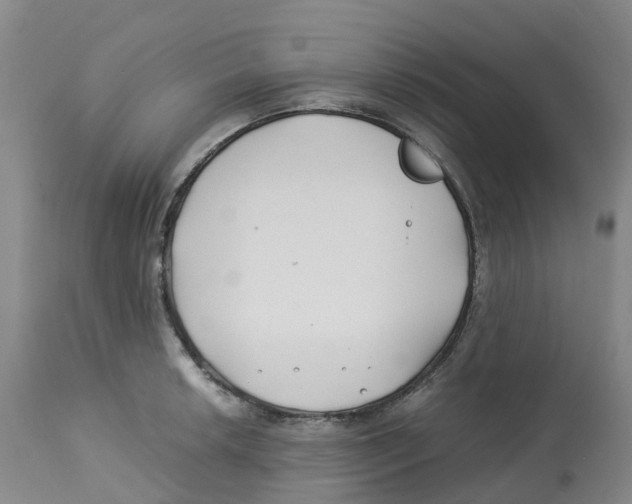 X0000113151042200910021458