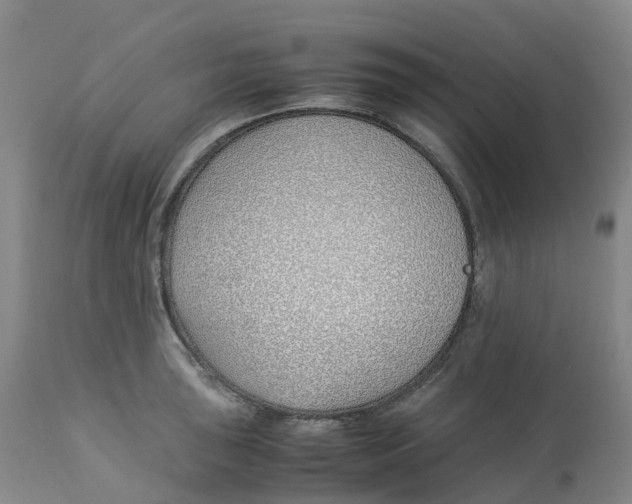 X0000113151043200910021458