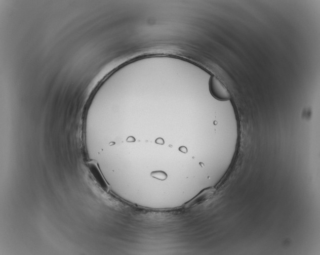 X0000113151044200910021458