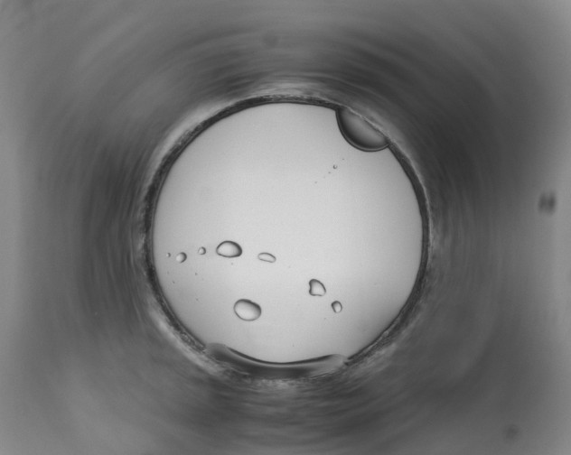 X0000113151045200910021458