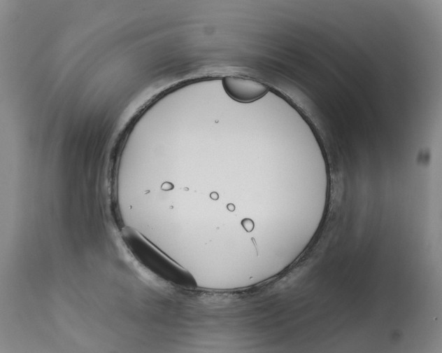 X0000113151046200910021458