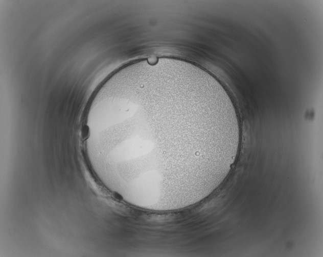 X0000113151047200910021458