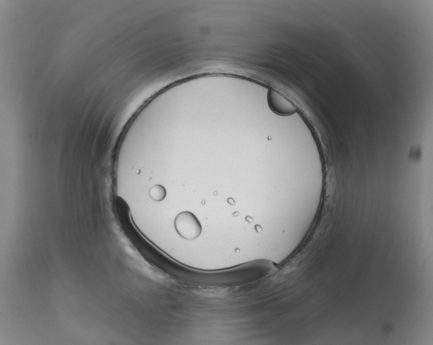 X0000113151048200910021458