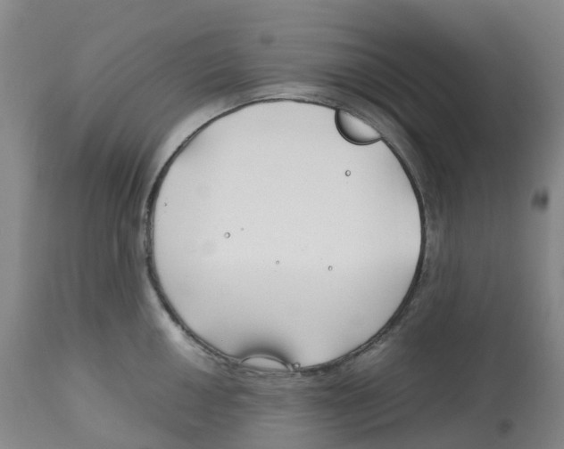 X0000113151050200910021458