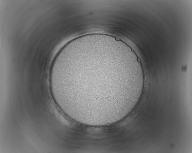 X0000113151051200910021458