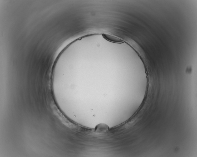 X0000113151052200910021458