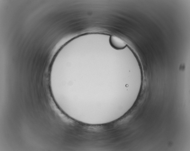 X0000113151053200910021458