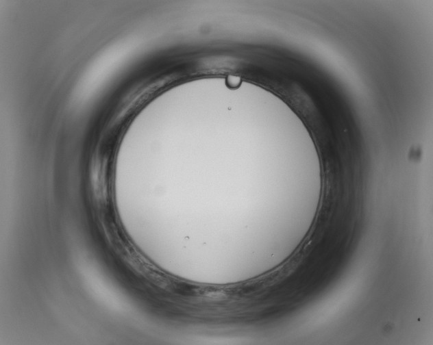 X0000113151054200910021458